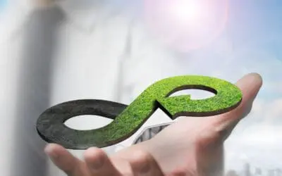 Stellantis ma non solo: l’economia circolare, un passo avanti verso un futuro sostenibile nel mondo dei motori