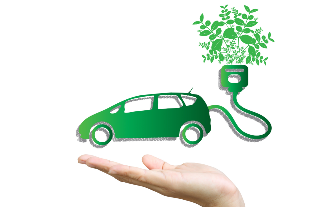 Transizione ecologica auto: come sta cambiando la mobilità e perché Toyota guida il cambiamento